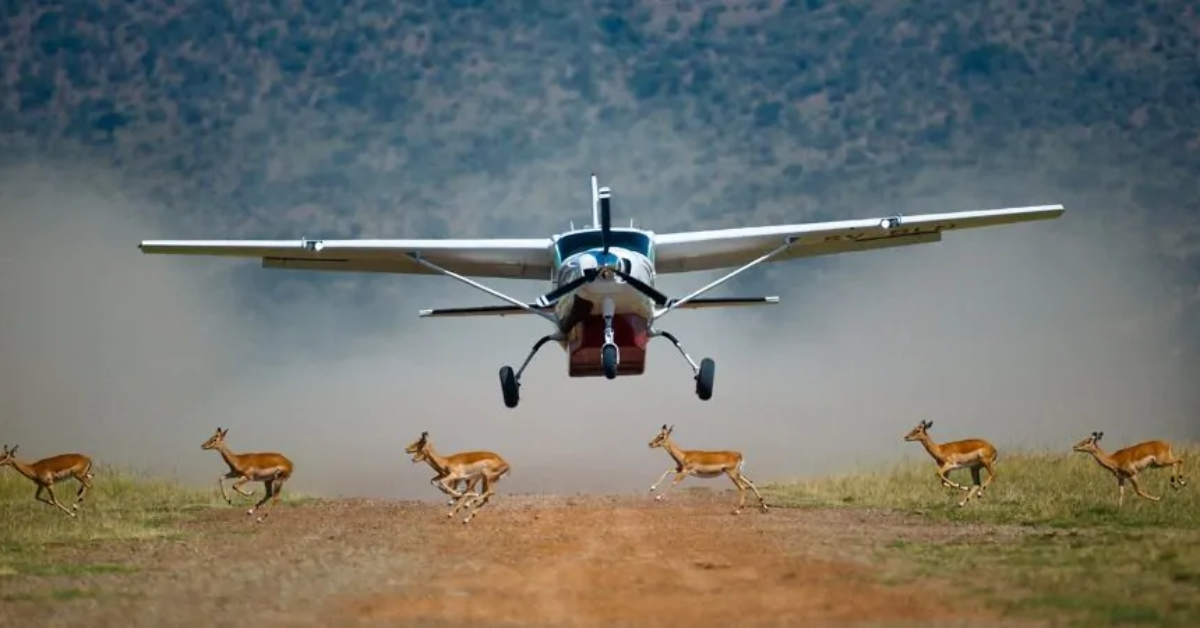 Masai Mara Luxury Safari Packages