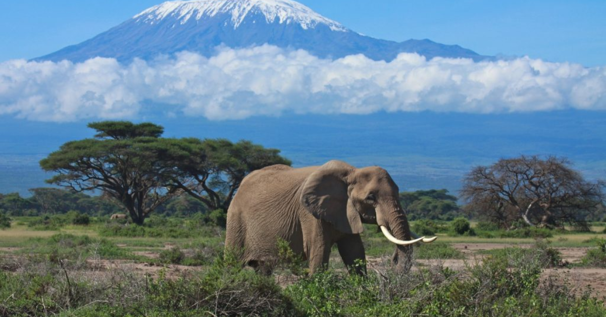 Coast Safaris in Kenya