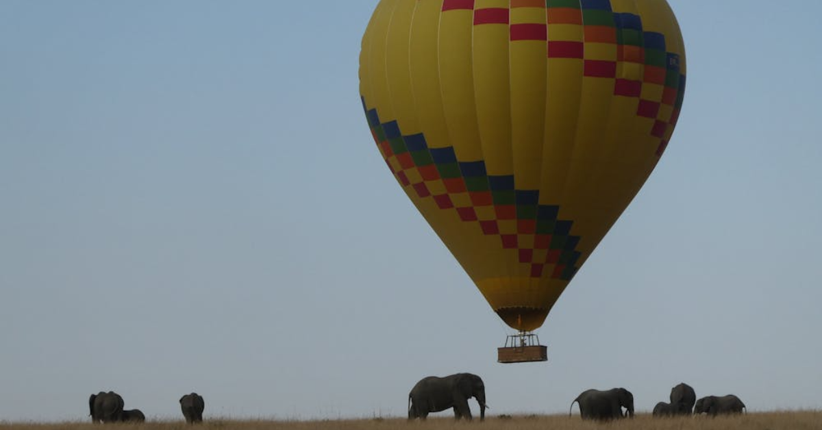 Hot Air Balloon Safari